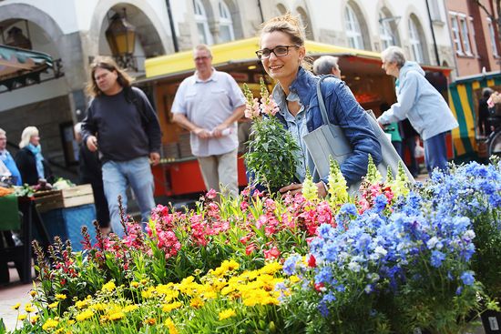 Deutsche Marktgilde eG Eschenburg Deutsche Marktgilde eG Eschenburg
