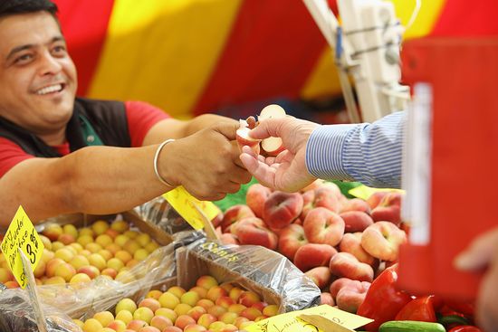 Deutsche Marktgilde eG Eschenburg