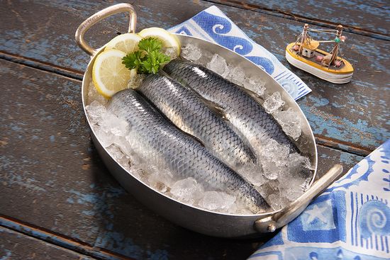 Edeka Zentrale Hamburg Edeka Zentrale Hamburg