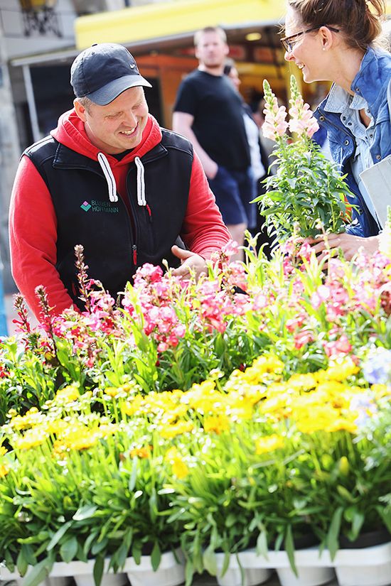 Deutsche Marktgilde eG Eschenburg